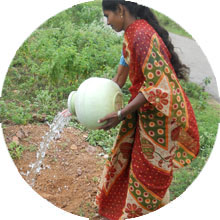 Tree plantation programme for reduction carbon emission